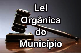 Aprovado em primeiro turno o Projeto de revisão e consolidação da Lei Orgânica Municipal